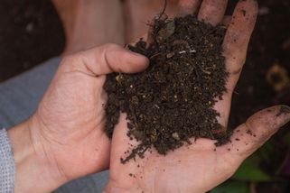Plasty brzdí růst žížal. A dvě česká pole patří k nejzamořenějším v Evropě - Médium.cz